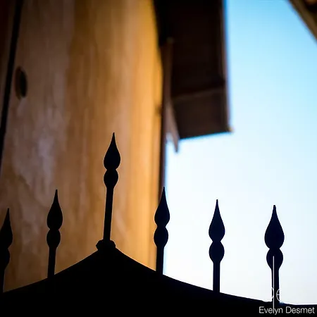 My For - Citta Alta *